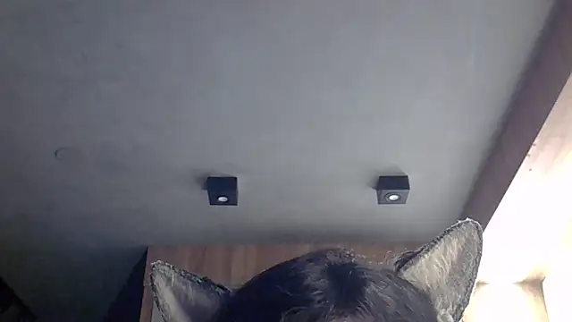 Skinny-Kitten online show from February 4, 2026, 11:53 pm