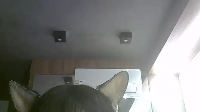 Snapshot of Skinny-Kitten chatting on July 9, 2026, 9:35 am Skinny-Kitten online show from July 9, 2026, 9:35 am