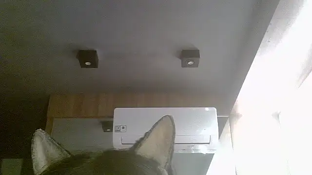 Snapshot of Skinny-Kitten chatting on July 19, 2026, 7:12 am Skinny-Kitten online show from July 19, 2026, 7:12 am