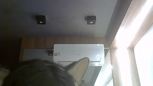 Snapshot of Skinny-Kitten chatting on July 21, 2026, 4:09 pm Skinny-Kitten online show from July 21, 2026, 4:09 pm