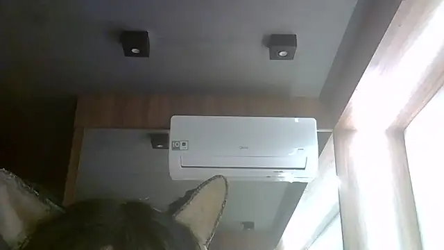 Snapshot of Skinny-Kitten chatting on July 24, 2026, 4:10 am Skinny-Kitten online show from July 24, 2026, 4:10 am