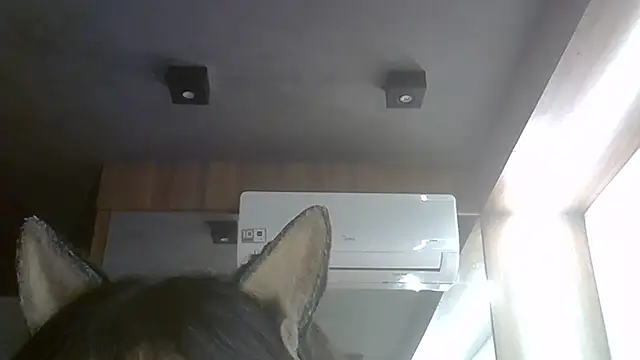 Snapshot of Skinny-Kitten chatting on July 28, 2026, 5:25 am Skinny-Kitten online show from July 28, 2026, 5:25 am