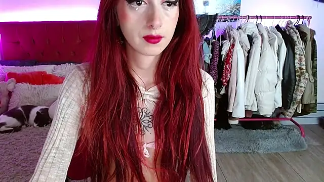 Snapshot of alisseallie chatting on October 11, 2025, 5:44 pm alisseallie online show from October 11, 2025, 5:44 pm