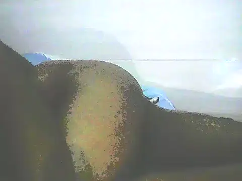 Snapshot of Stormward chatting on January 12, 2025, 12:28 am Stormward online show from January 12, 2025, 12:28 am