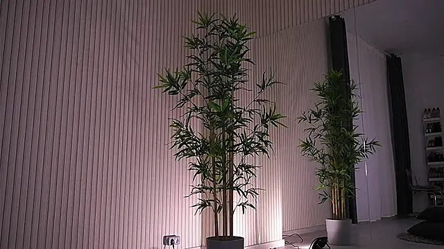 Snapshot of Abbela_White chatting on January 23, 2025, 9:39 am Abbela White online show from January 23, 2025, 9:39 am