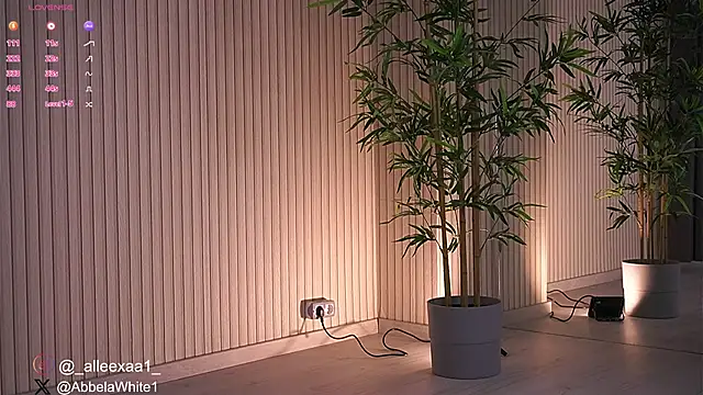 Snapshot of Abbela_White chatting on January 27, 2025, 9:23 am Abbela White online show from January 27, 2025, 9:23 am