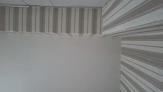 Snapshot of lily__foster chatting on September 22, 2025, 5:42 am lily foster online show from September 22, 2025, 5:42 am