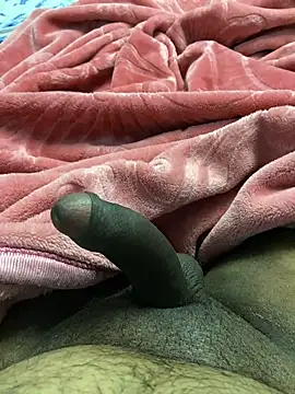 Snapshot of Honeydick7 chatting on January 3, 2025, 5:31 pm Honeydick7 online show from January 3, 2025, 5:31 pm