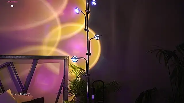 Snapshot of TataCoy chatting on February 27, 2026, 4:07 pm TataCoy online show from February 27, 2026, 4:07 pm