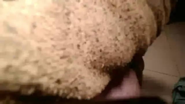 Snapshot of Dan3106x chatting on March 19, 2026, 7:07 pm Dan3106x online show from March 19, 2026, 7:07 pm