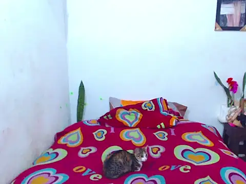 The wickles 4443 online show from February 14, 2025, 4:09 pm