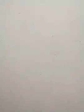 Shuttii 25 online show from December 25, 2024, 6:20 am