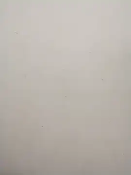 Shuttii 25 online show from January 31, 2025, 6:13 am