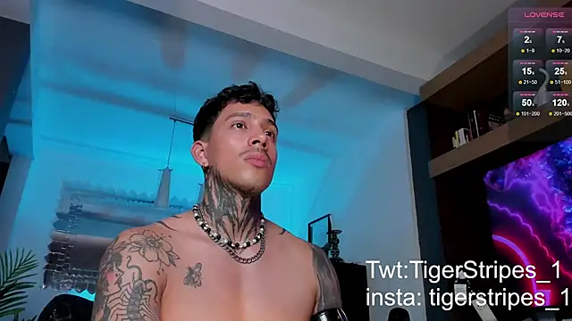 TigerStripes1  online show from February 12, 2025, 12:05 am