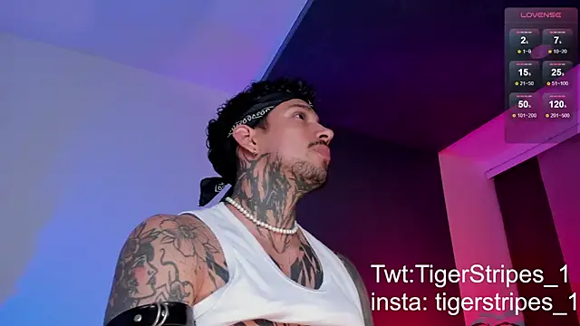 TigerStripes1  online show from March 11, 2025, 10:42 pm