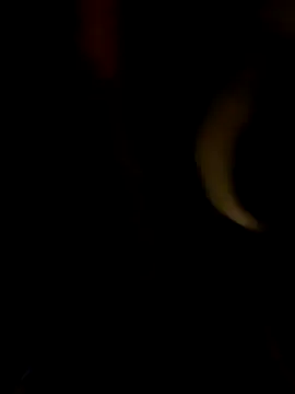 PIercingBoy38 online show from October 11, 2025, 5:33 pm