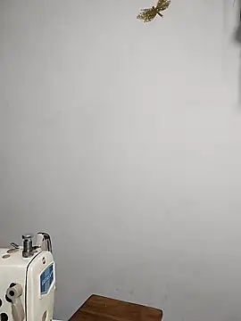 Snapshot of Alissamore3 chatting on February 19, 2025, 3:06 am Alissamore3 online show from February 19, 2025, 3:06 am