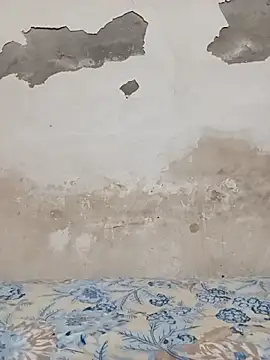 09punjabi online show from October 27, 2025, 11:03 am