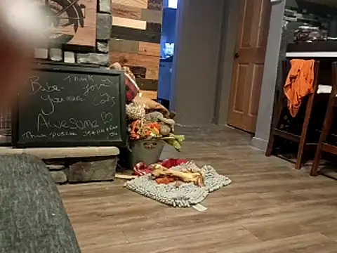 Snapshot of Donglong80 chatting on November 25, 2025, 12:05 pm Donglong80 online show from November 25, 2025, 12:05 pm